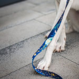 MAGIC NIGHT S (24CM-33CM) MN-S - Εικόνα 8