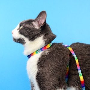 BETTY YOU CAT HARNESS + LEASH (DCHL024) - Εικόνα 5