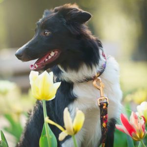 RETRO L 40-62cm (RE-L) - Εικόνα 2