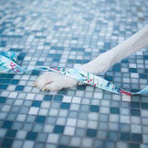 “THE CHRISTMAS BIRD” M 29-40cm (CB-M) - Εικόνα 5