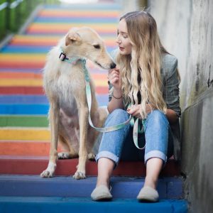 SPECIAL OCCASION S (24CM-33CM) SO-S - Εικόνα 7