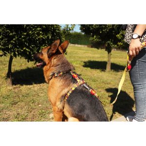 Pip Leash XSmall (DL00147) - Εικόνα 3