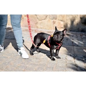 Dogtanian Leash Large (DL00138) - Εικόνα 2