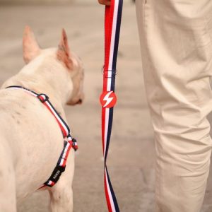 Λουρί Οδηγός Σκύλου Red & Blue Xsmall Dashi (DL00195) - Εικόνα 2