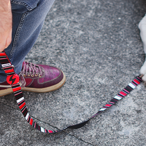 Λουρί Οδηγός Σκύλου Slide Medium Dashi (DL00113) - Εικόνα 3