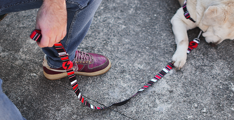 Λουρί Οδηγός Σκύλου Slide Large Dashi (DL00114) - Εικόνα 3