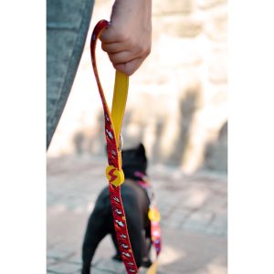 Dogtanian Leash XSmall (DL00135) - Εικόνα 3