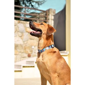 Muskehounds Collar Small (DC00154) - Εικόνα 2