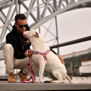 Λουρί Οδηγός Σκύλου Red & Blue Large Dashi (DL00198) - Εικόνα 5