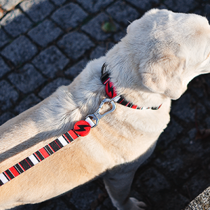 Λουρί Οδηγός Σκύλου Slide Small Dashi (DL00112) - Εικόνα 2