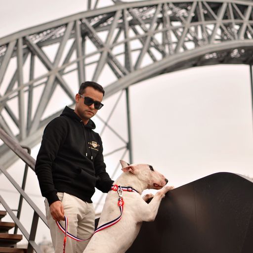 Λουρί Οδηγός Σκύλου Red & Blue Small Dashi (DL00196) - Εικόνα 4