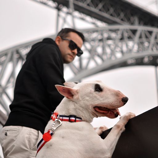 Λουρί Οδηγός Σκύλου Red & Blue Small Dashi (DL00196) - Εικόνα 6