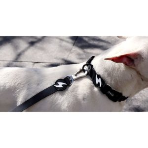 COLORFLEX BLACK COLLAR LARGE (DC00228) - Εικόνα 2