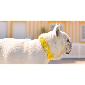 COLORFLEX YELLOW COLLAR MEDIUM (DC00235) - Εικόνα 2