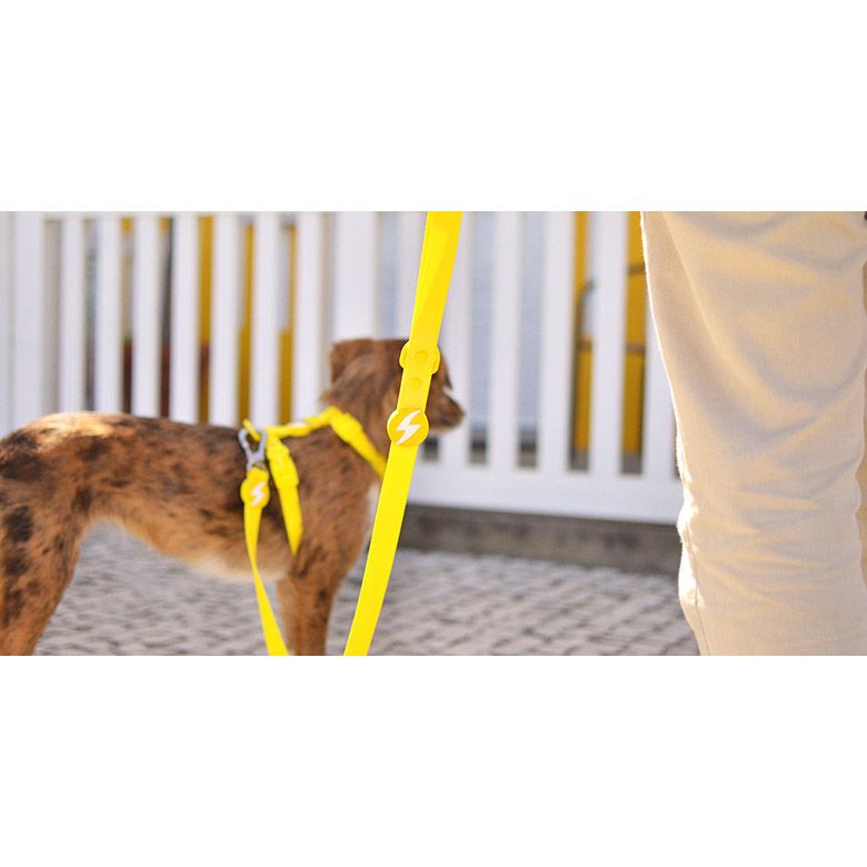 COLORFLEX YELLOW LEASH SMALL (DL00232) - Εικόνα 3