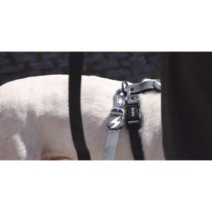 COLORFLEX BLACK LEASH XSMALL (DL00223) - Εικόνα 2