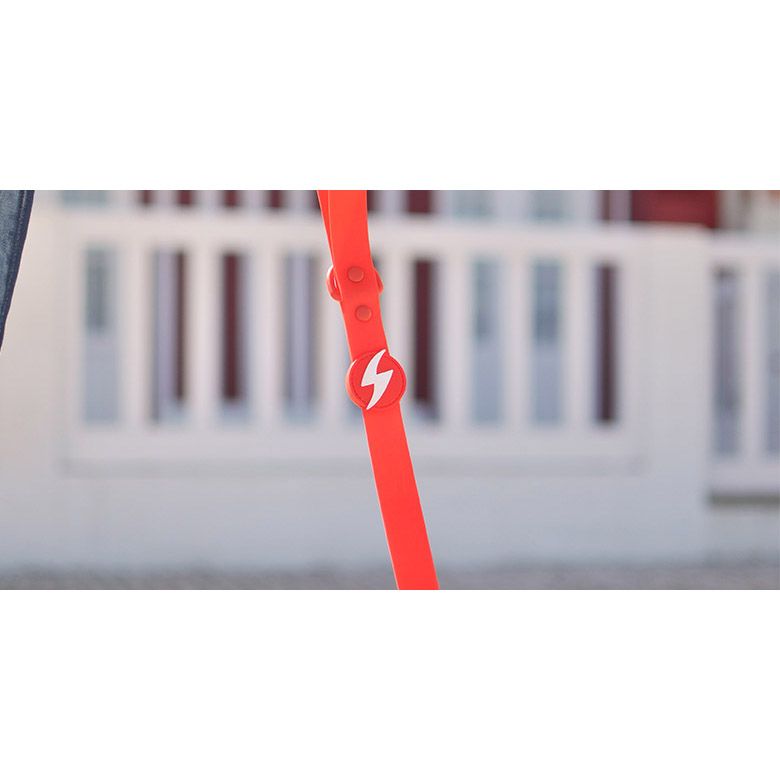 COLORFLEX RED LEASH LARGE (DL00230) - Εικόνα 2