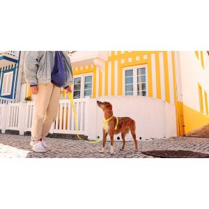 COLORFLEX YELLOW LEASH SMALL (DL00232) - Εικόνα 2