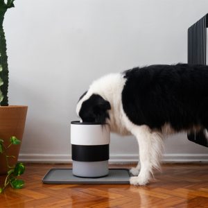 ZeeDog Μπολ Φαγητού Σκύλου Πτυσσόμενο Coral - Εικόνα 2