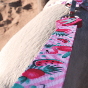 Λουρί Οδηγός Σκύλου Flamingo Large Dashi (DL00009) - Εικόνα 3