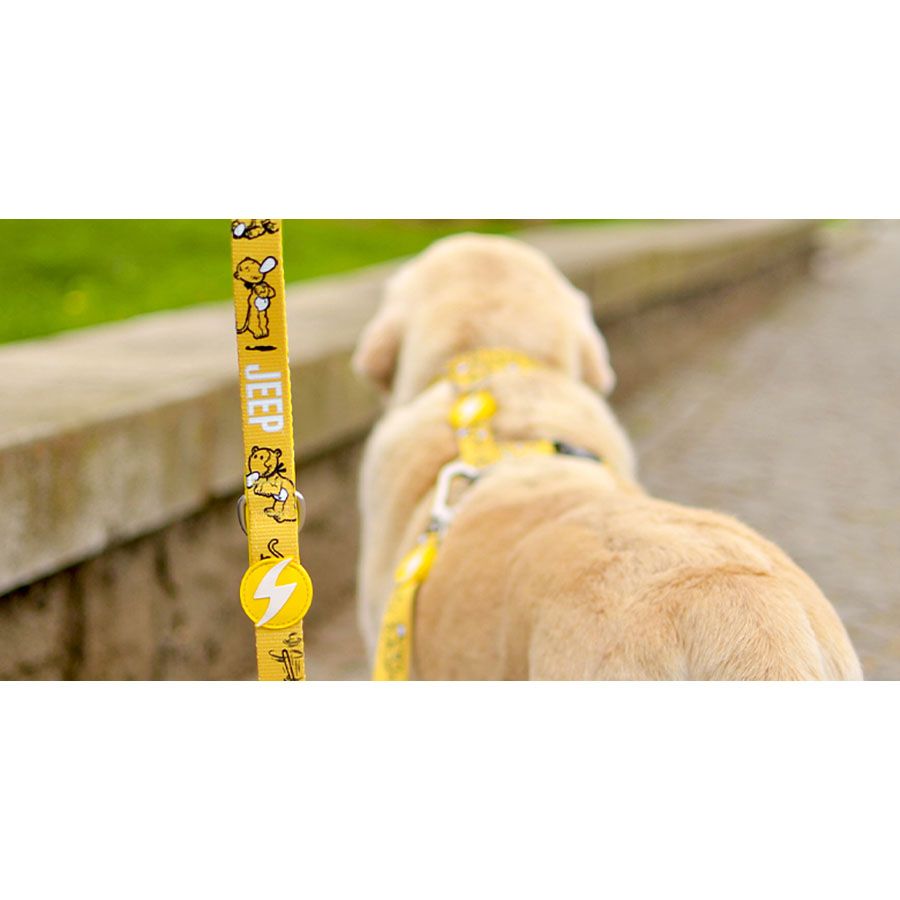 JEEP LEASH MEDIUM (DL00109) - Εικόνα 2