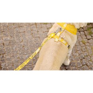 JEEP LEASH LARGE (DL00110) - Εικόνα 3