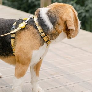 JEEP LEASH LARGE (DL00110) - Εικόνα 4