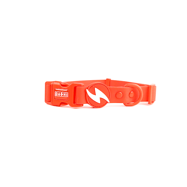 COLORFLEX RED COLLAR MEDIUM (DC00231) - Εικόνα 3