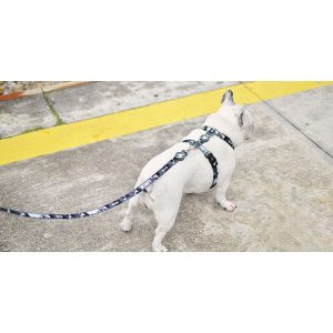 WIMPY LEASH MEDIUM (DL00105) - Εικόνα 2