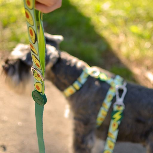 AVOCADO LEASH Large (DL00190) - Εικόνα 2