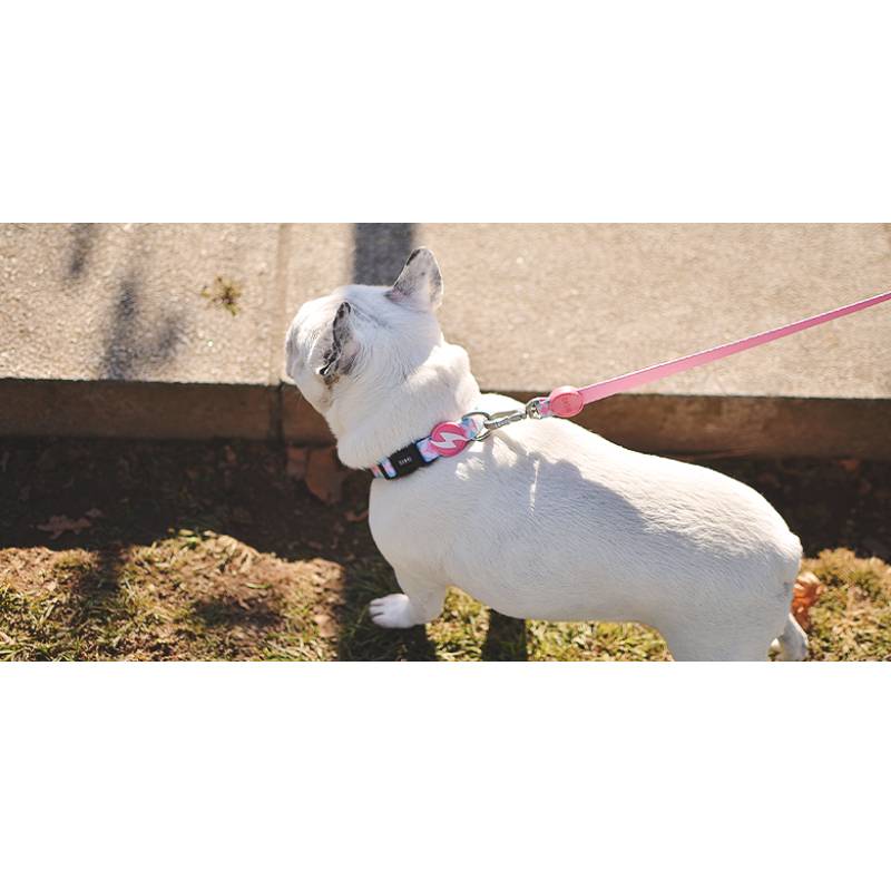 CORAL LEASH EXTRA SMALL (DL00115) - Εικόνα 3