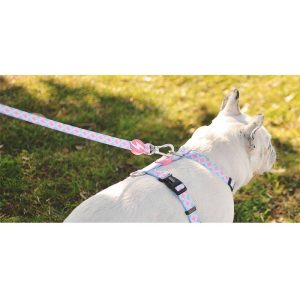 CORAL LEASH LARGE (DL00118) - Εικόνα 2