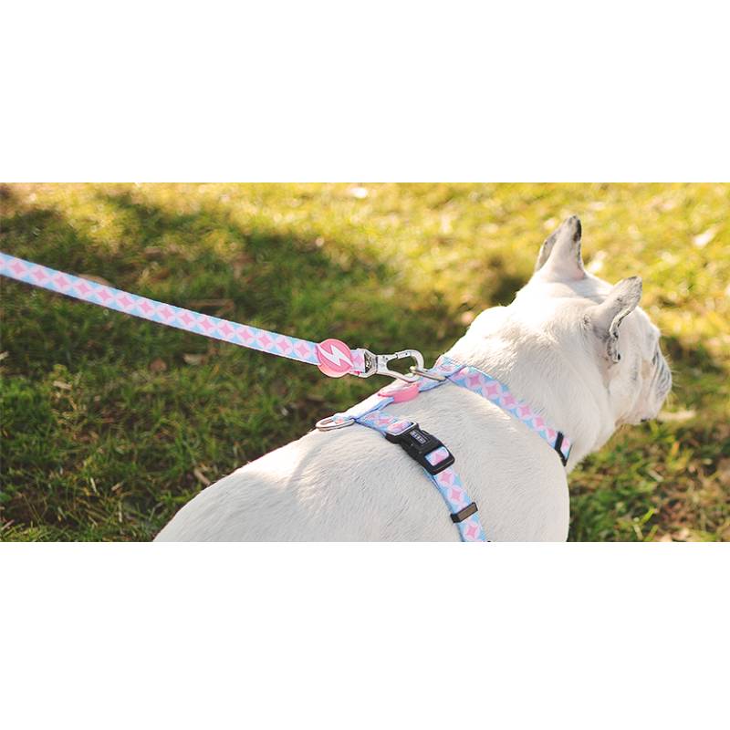 CORAL LEASH MEDIUM (DL00117) - Εικόνα 2