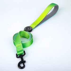 Everking Small 1,50 x 1,50 cm λουρί σκύλου νέον - πράσινο έως 10kg