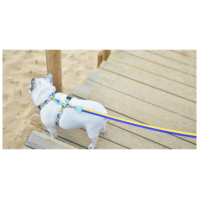 EXPLOSIONS OF GALAXIES NEBULA LEASH – Large (DL00126) - Εικόνα 2