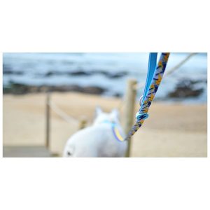 EXPLOSIONS OF GALAXIES NEBULA LEASH – Small (DL00124) - Εικόνα 3