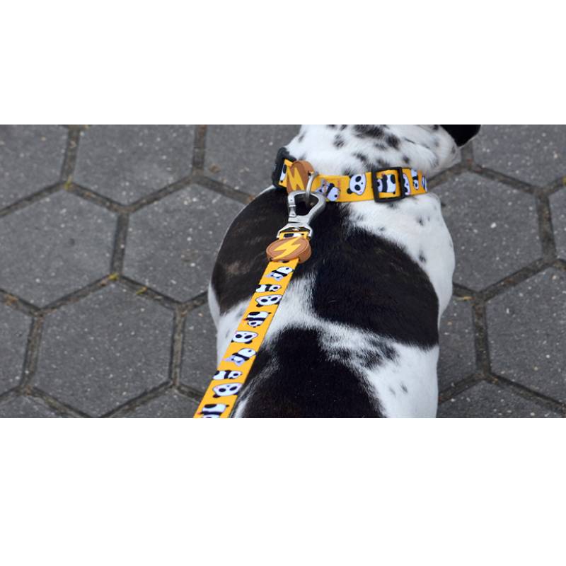 SNOOZE LEASH SMALL (DL00050) - Εικόνα 2