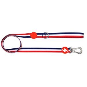 Dashi Medium λουρί σκύλου μαλακό - μαλακό και άνετο για περίπατο