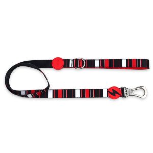 Dashi Small λουρί σκύλου οδηγός - άνεση και ασφάλεια