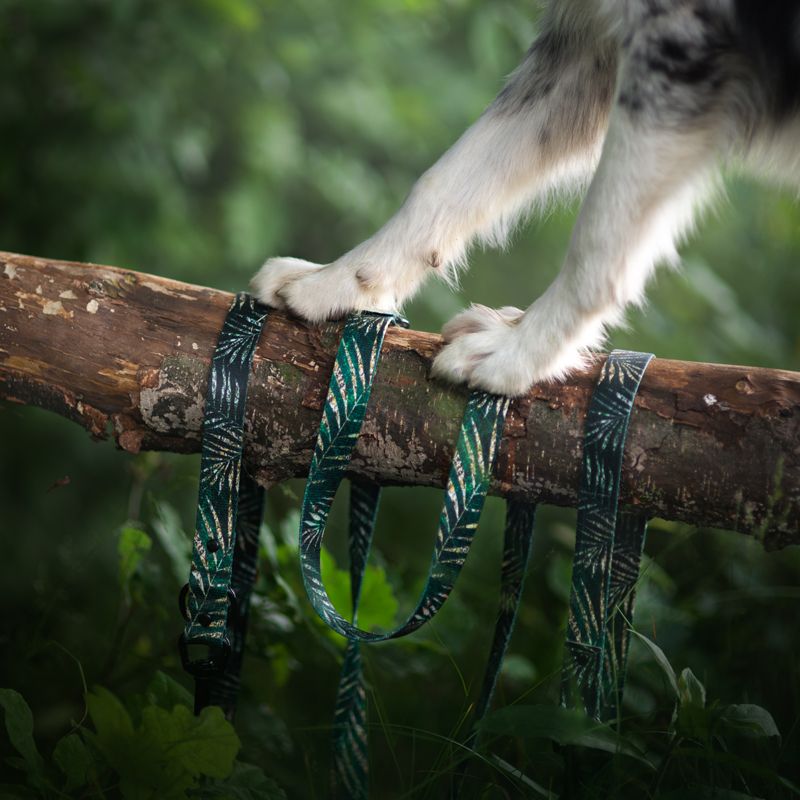 AMAZONIOS LEASH 150cm AML-S (SMALL HOOK) - Εικόνα 2