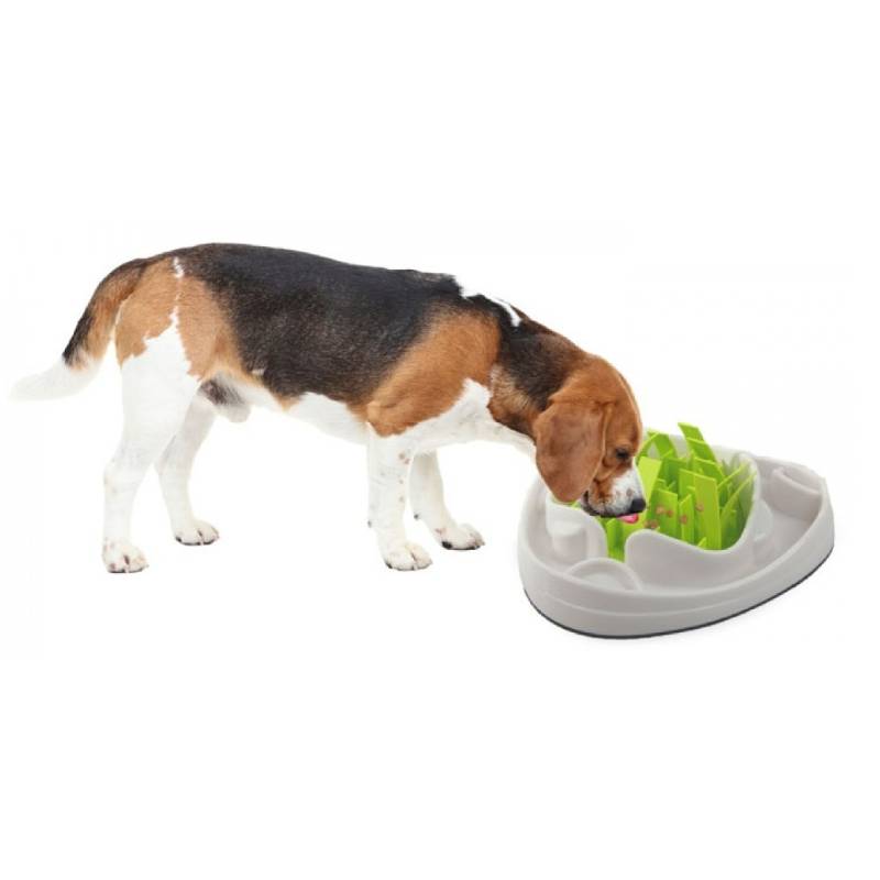 AFP Μπώλ Σκύλου Slow Feeder - Εικόνα 2