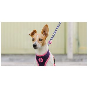 SPARKLE LIKE UNICORNS UNICORN LEASH – Small (DL00047) - Εικόνα 2