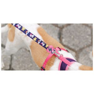 SPARKLE LIKE UNICORNS UNICORN LEASH – Small (DL00047) - Εικόνα 3