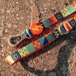 Λουρί Οδηγός Σκύλου Terracotta Large Dashi (DL00186) - Εικόνα 5