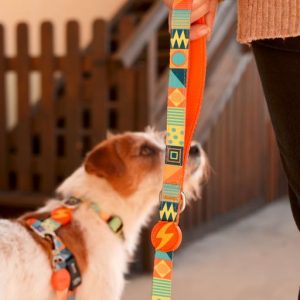 Λουρί Οδηγός Σκύλου Terracotta Xsmall Dashi (DL00183) - Εικόνα 5