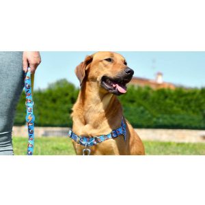Muskehounds Leash XSmall (DL00151) - Εικόνα 3