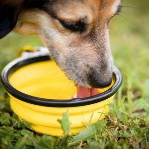 Πτυσσόμενο μπολ Akinu yellow 800ml (137026) - Εικόνα 2