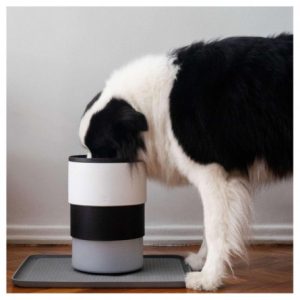 ZeeDog Μπολ Φαγητού Σκύλου Πτυσσόμενο Gotham 2Lt - Εικόνα 4