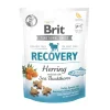 Brit® Dog Functional Snack Recovery 150gr