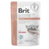 Brit VD® GF Cat Fillets in Gravy Pouches Renal 85gr